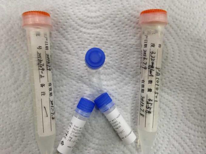 IVD の研究のための薬剤の反 Propoxyphene のマウスの Monoclonal 抗体
