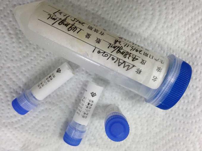 酵素 Mab のハイブリドーマの Monoclonal 抗体を変えるマウスの反アンギオテンシン