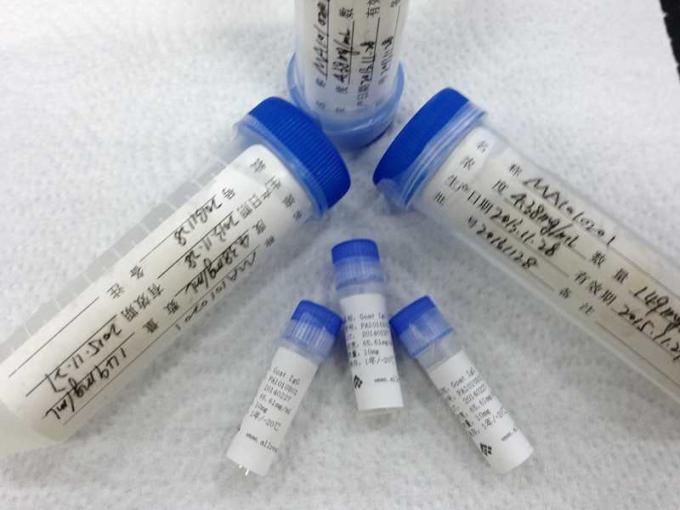 ビトレの診断の研究のための高い感受性 HSV-1 の組換えの抗原