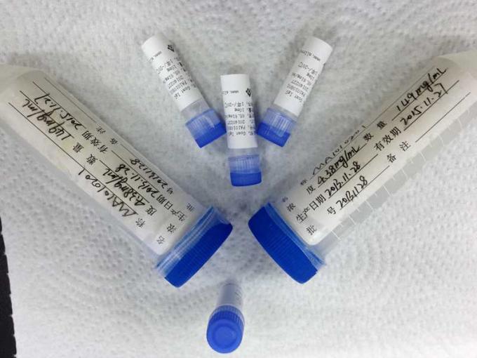 PV-ADL マラリア組換えの遺伝子の抗原の感染症