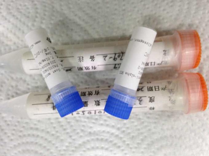 FIA の試金のための Troponin I の組換えの抗原の感染症