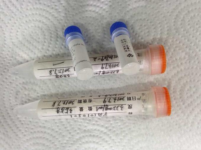 IVD の研究のための医学の反アルファ HCG のハイブリドーマの モノクローナル 抗体