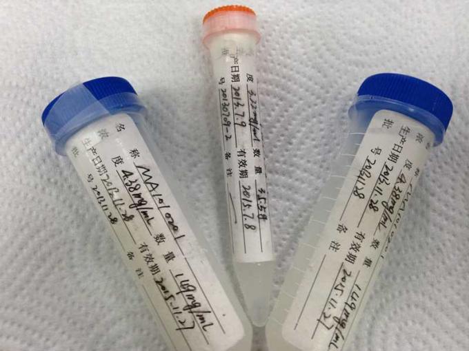 マウスの膜の試金のための反 HBeAg Mab2 のハイブリドーマの Monoclonal 抗体