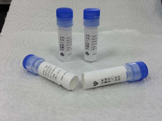 医学の反ベータ HCG Mab のマウスのマウスの Monoclonal 抗体の高い感受性