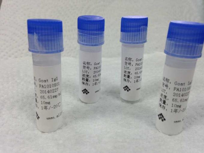 マウスのハプテンの結合のための反モルヒネのハイブリドーマの Monoclonal 抗体