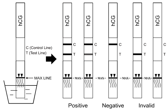Fiatest検光子による人間の全血/serum /plasmaのβ2 microglobulテスト使用は蛍光性の免疫学的検定の行きます