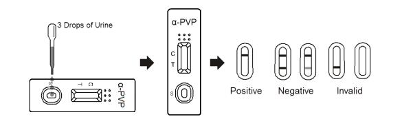 専門の薬物乱用テスト キットのα-PVP尿、証明されるセリウムの急速なテスト カセット