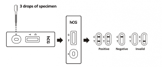 家/病院急速なテスト キット HCG 1 のステップ妊娠検査のストリップ