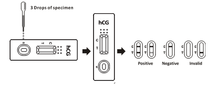 1つのステップOTCヒト絨毛性ゴナドトロピンHCGの検出の急速な診断キットによっては使用が家へ帰ります