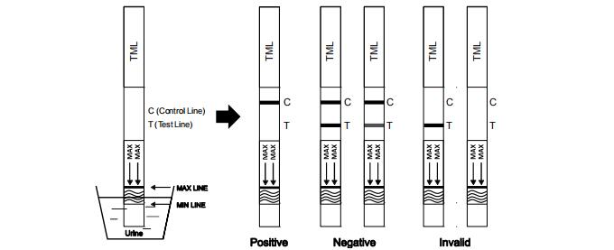 人間の尿のTramadol TMLの薬物乱用テスト キットの最高によって修飾される急流
