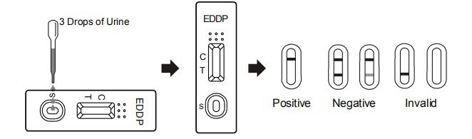 人間の尿のエチレンジアミンdimethylphosphinicの酸EDDPの質的な検出のための急速なテスト