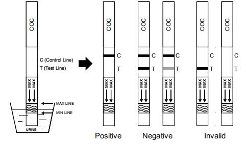 セリウムおよびFDAが付いている良質COCのコカインの薬物乱用のカセット/計深器/鋼板の試験のキットの尿