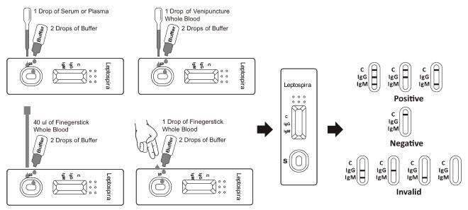 Leptospira IgG/IgMセリウムが付いている急速なテスト カセット(全血/血清/血しょう)