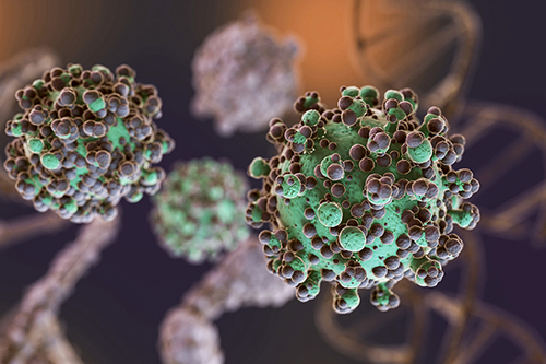最新の企業ブログについて Oncogenic Viruses: The Hidden Threat to Public Health