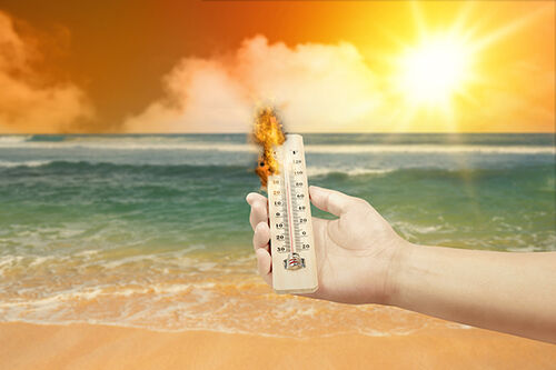 最新の企業ブログについて Beat the Heat: Staying Safe When Temperatures Soar