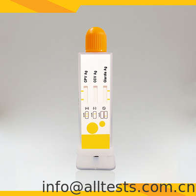 Good price CPV CCV Giardia Lamblia の 迅速 診断 検査 キット 獣医 用 オンライン