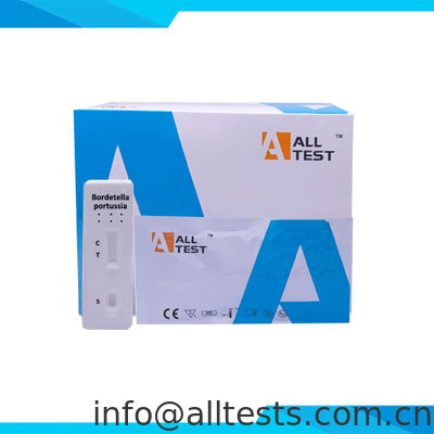 お買い得 IBP-502 -- 百日咳菌抗原迅速検査（鼻咽頭スワブ） オンライン